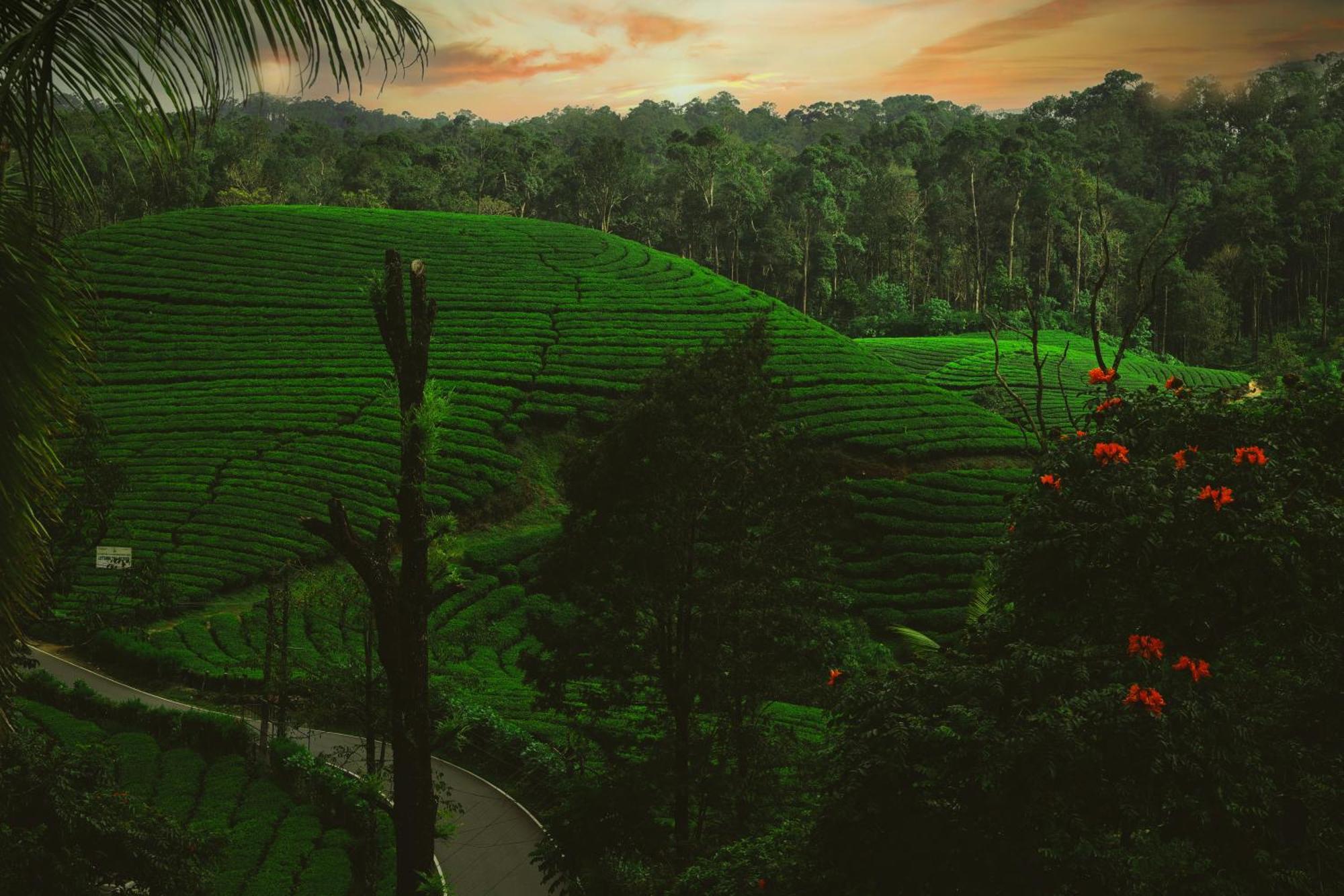 فندق Exotica Holidays Viripara المظهر الخارجي الصورة